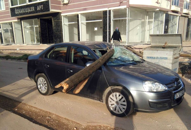 Çürüyen Telefon Direği Otomobilin Üzerine Düştü!